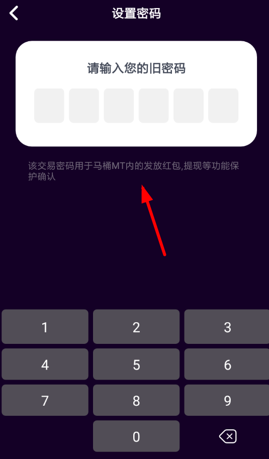 tp钱包怎么设置交易密码_钱包密码怎么设置_tp钱包支付密码
