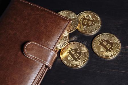 tp钱包支持哪些币-tp钱包支持的主流币种大揭秘