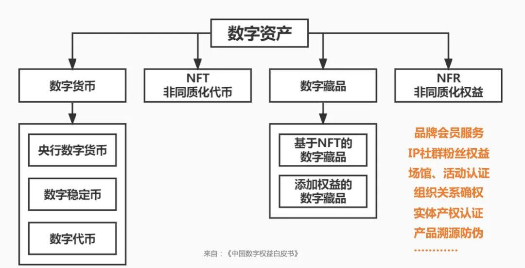 代币制属于_imtoken 代币logO_代币法