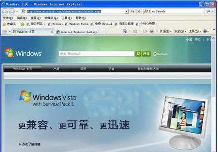 google浏览器 flash_浏览器google下载_谷歌浏览器google