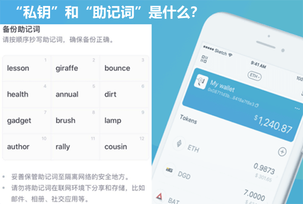 TP钱包助记词-TP 钱包助记词：从神秘代码到救命稻草，我的资产找回之路