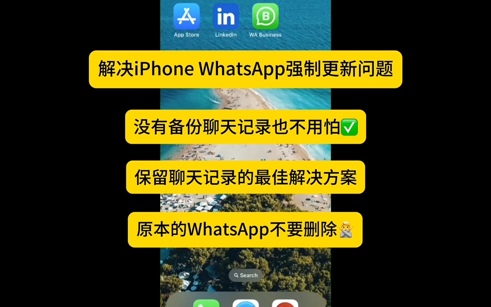 whatsapp官方下载-WhatsApp 官方下载指南：安全获取风靡全球的聊天软件