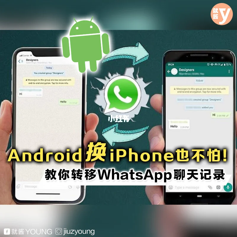 whatsapp官方手机版-WhatsApp 官方手机版：操作简单、功能强大的日常必备聊天神器