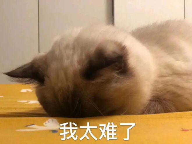 最新钱包空投_钱包空投怎么领取_im钱包2021空投