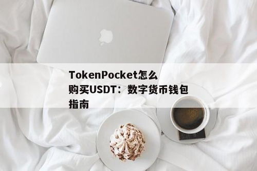 有usdt币的钱包