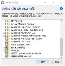 linux和windows双系统,Linux与Windows双系统安装与配置指南