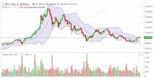 走势比特币,波动中的市场动态与未来展望
