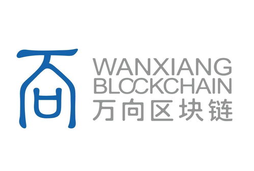 上海万向区块链股份公司,万向区块链引领区块链技术应用新篇章