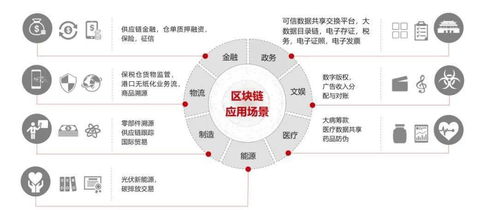 区块链目录链,构建去中心化未来