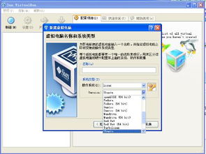 windows怎么安装linux双系统,Windows平台下Linux双系统安装指南