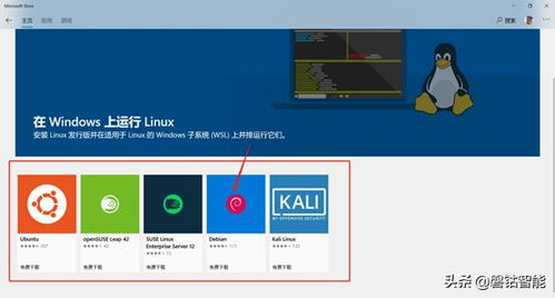 windows可以从 安装linux系统,双系统共存与虚拟机配置指南