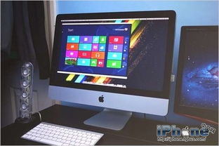 windows ios双系统,兼容性与创新并行的操作系统对决