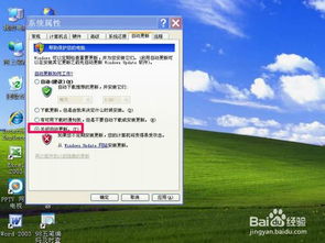 windows系统属性,基于Windows系统属性的概述