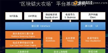 区块链大农场,构建透明、高效、可持续的“大农场”新模式”